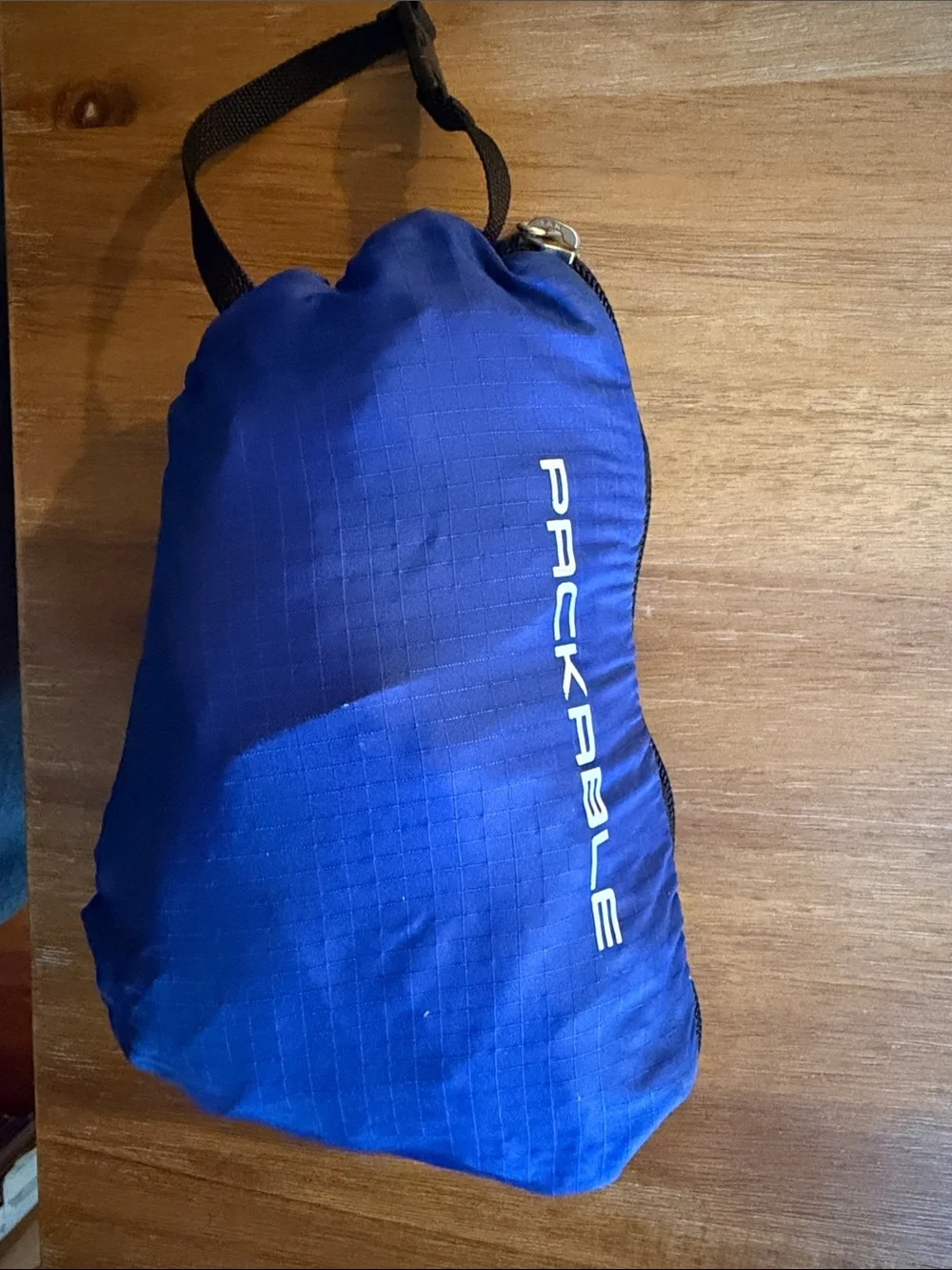 Rare Polo Sport packable day bag